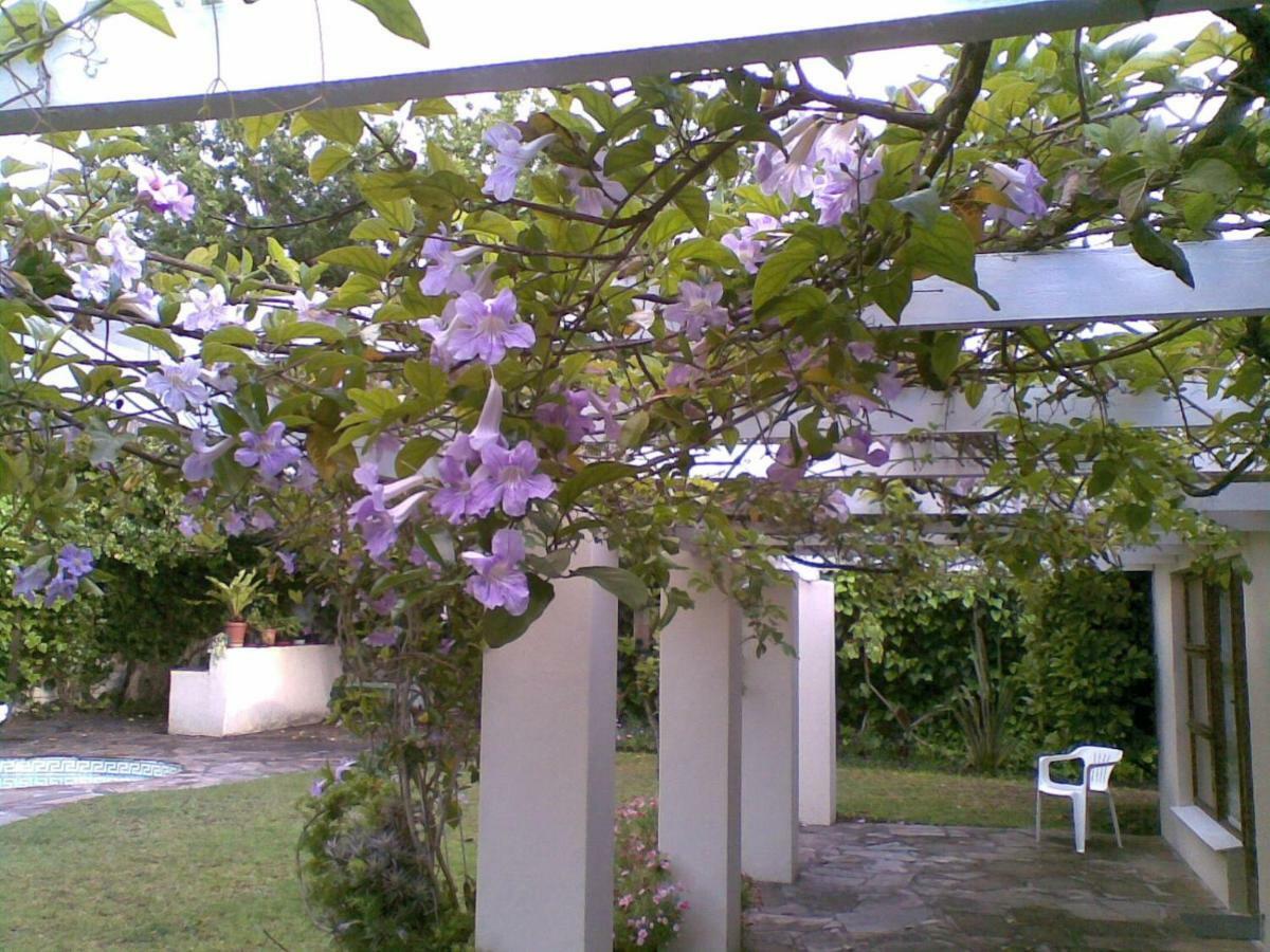 11 Lucius Way Διαμέρισμα Κέιπ Τάουν Εξωτερικό φωτογραφία